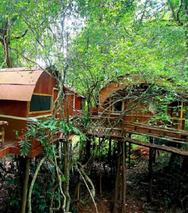 Kerala Tourism Image