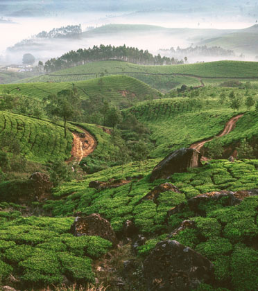 Kerala Tourism Image